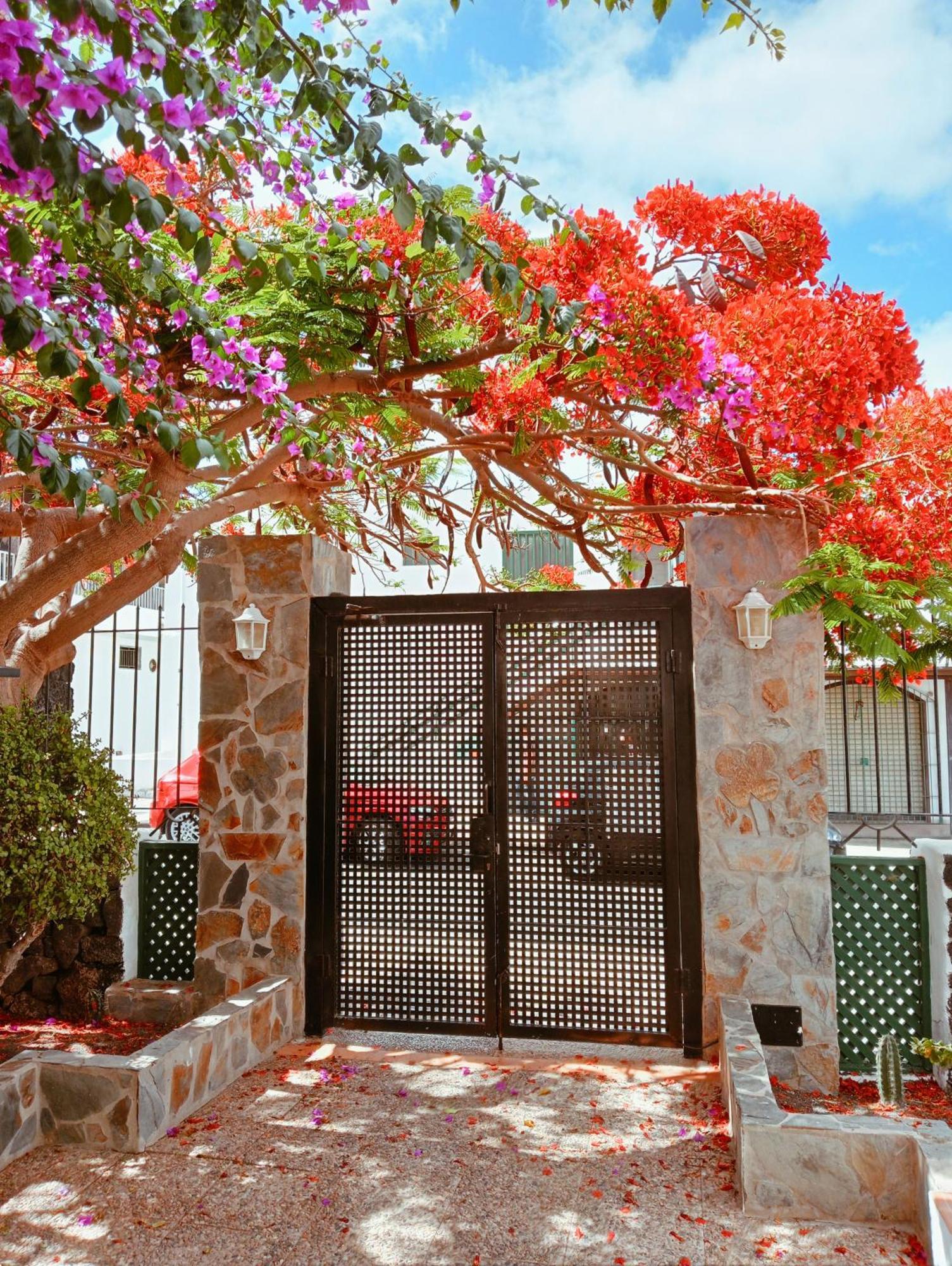 Apartamentos Las Acacias Puerto del Carmen  Eksteriør billede